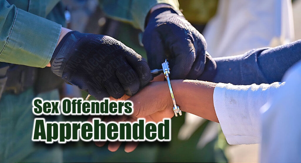 Del Rio Sector Agents Arrest Sex Offenders Texas Border Business