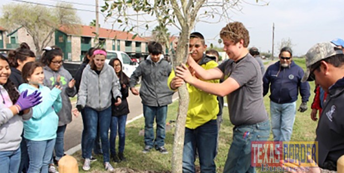 harlingen beautification