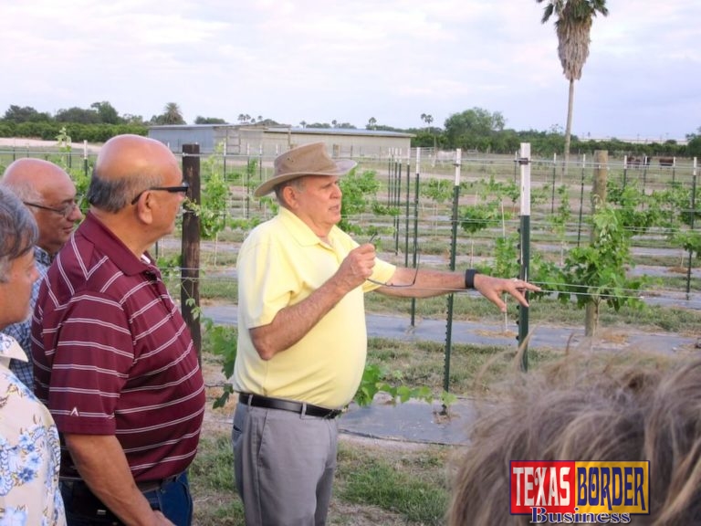 Rio Farms Wine Festival 2017 “Texas Now Producing Premium Wine Grapes”