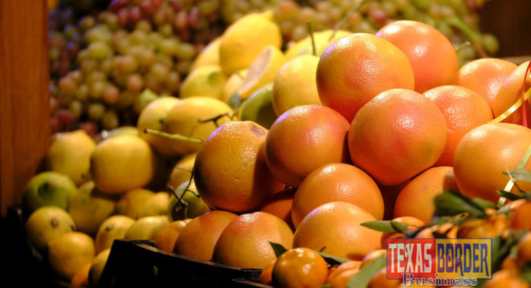 The Rio Grande Valley’s four-millimeter foe: citrus industry in fight for survival