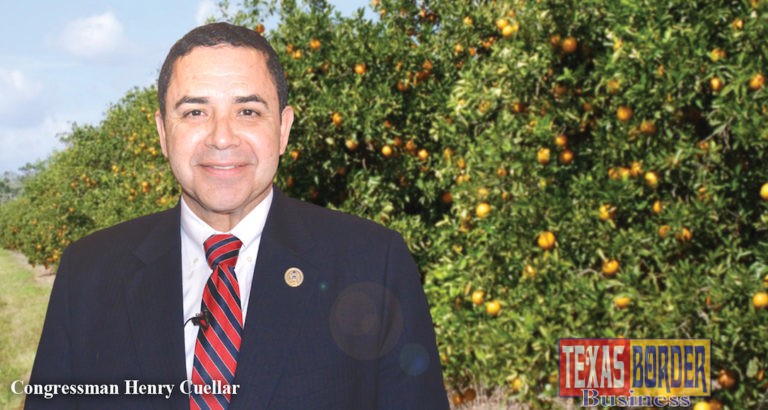 To help Rio Grande Valley farmers battle the scourge of Citrus Greening Disease, Congressman Cuellar advocated for and secured over $65 million for citrus health and the Huanglongbing Multi-Agency Coordination Group operated through the U.S. Department of Agriculture’s Animal and Plant Health Inspection Service (APHIS).