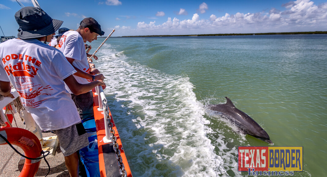 Area high school students take a break from conducting research tests on the Laguna Madre to watch a pod of dolphins frolicking in the wake of UTRGV’s floating classroom, the Ridley. The students were part of UTRGV’s recent Hands-On Marine Ecology Camp, offered by the Coastal Studies Laboratory of the UTRGV School of Earth, Environmental and Marine Sciences (SEEMS). It was the first time some of the students had seen dolphins in their natural environment. (UTRGV Photo by David Pike)