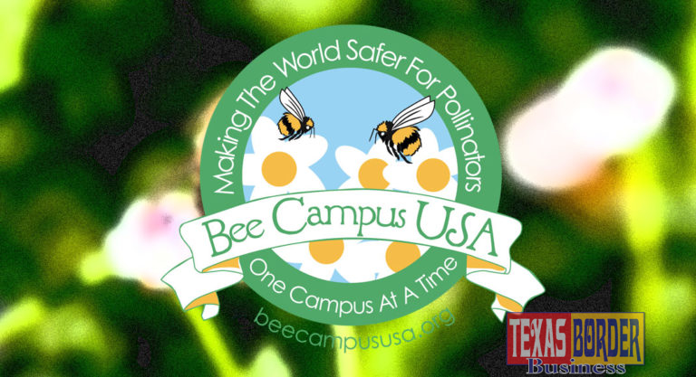 UTRGV Now Certified as a Bee Campus USA affiliate 