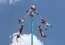 Fiesta de Palmas Annouces Voladores de Papantla, A Gravity-Defying Pole Acrobatics Performance Group