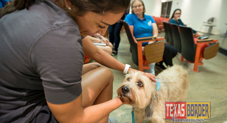 Animal Therapy Club helps provide fuzzy stress relief for students
