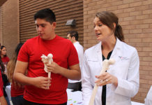 Middle and High School Students Learn About Health Professions during HESTEC Week 2018 UTRGV medical student Lauren Muenchow shows a model of a human bone to high school students during a health professions fair, held at the UTRGV School of Medicine during HESTEC Week 2018. More than 1,000 middle and high school students visited the School of Medicine’s Medical Education Building to learn more about career opportunities in the health professions. (UTRGV Photo)