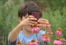 It’s Time for Texas’ Third Annual Pollinator BioBlitz To view a video news report about the Pollinator BioBlitz