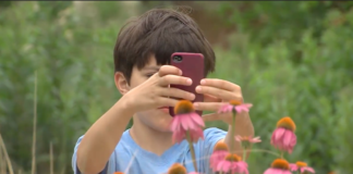 To view a video news report about the Pollinator BioBlitz