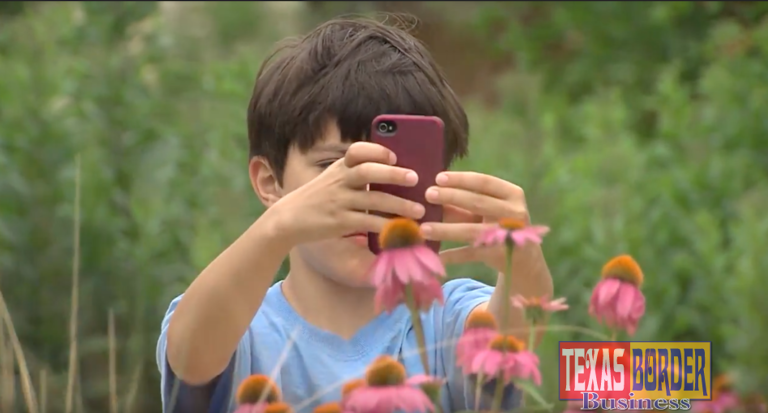 To view a video news report about the Pollinator BioBlitz