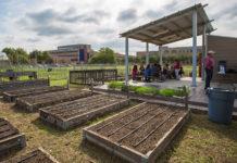 UTRGV Community Garden (UTRGV Photo by Silver Salas)