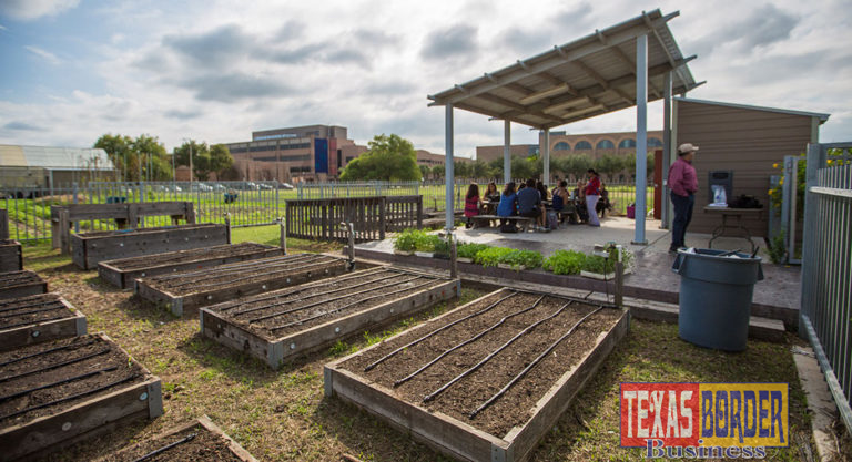 UTRGV Community Garden (UTRGV Photo by Silver Salas)