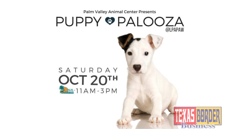 Palm Valley Animal Center Hosting A Mass Foster Recruitment Event At The Laurie P Andrews PAWS Center To Find Temporary Homes In Order To Save Hundreds Of Puppies, Oct. 20