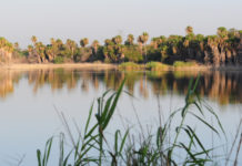 Bentsen Rio Grande Valley State Park, Texas