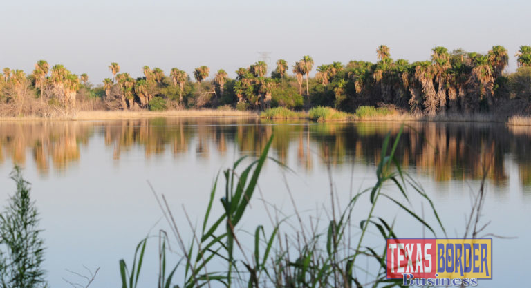 Bentsen Rio Grande Valley State Park, Texas