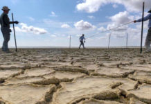 To get a compressed look at potential changes in rainfall over the next few decades, Dr. Christopher Gabler, professor of Environmental Sciences at The University of Texas Rio Grande Valley, has built a series of structures along the Gulf Coast in Texas that, by altering the environment in small areas, will test physical reactions to changes in rainfall. Essentially, the structures will allow Gabler to fast forward. (UTRGV Photo by David Pike)