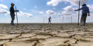 To get a compressed look at potential changes in rainfall over the next few decades, Dr. Christopher Gabler, professor of Environmental Sciences at The University of Texas Rio Grande Valley, has built a series of structures along the Gulf Coast in Texas that, by altering the environment in small areas, will test physical reactions to changes in rainfall. Essentially, the structures will allow Gabler to fast forward. (UTRGV Photo by David Pike)