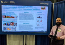 PSJA ISD alumnus presents scientific research on cattle fever ticks on behalf of USDA in Washington, D.C.