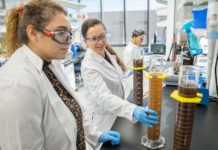 UTRGV Receives Grant for Soil Science Initiatives Lilly Elliott, a UTRGV environmental science student from Pharr, works on soil research with Dr. Engil Pereira (right), assistant professor of soil ecology in the UTRGV School of Earth, Environmental, and Marine Sciences. Pereira was awarded a grant to help students gain soil science research training and promote networking opportunities. The program – Training, Research, and Education in Soil Science – implements strategies to engage Hispanic students in agriculture studies that address soil quality issues. (UTRGV Photo by Paul Chouy)