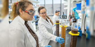 Lilly Elliott, a UTRGV environmental science student from Pharr, works on soil research with Dr. Engil Pereira (right), assistant professor of soil ecology in the UTRGV School of Earth, Environmental, and Marine Sciences. Pereira was awarded a grant to help students gain soil science research training and promote networking opportunities. The program – Training, Research, and Education in Soil Science – implements strategies to engage Hispanic students in agriculture studies that address soil quality issues. (UTRGV Photo by Paul Chouy)