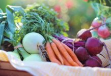 District, City Teaming up to Announce Summer Feeding Program Image for illustration purposes only