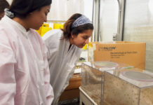 University Creates Agroecology Professional Development Institute