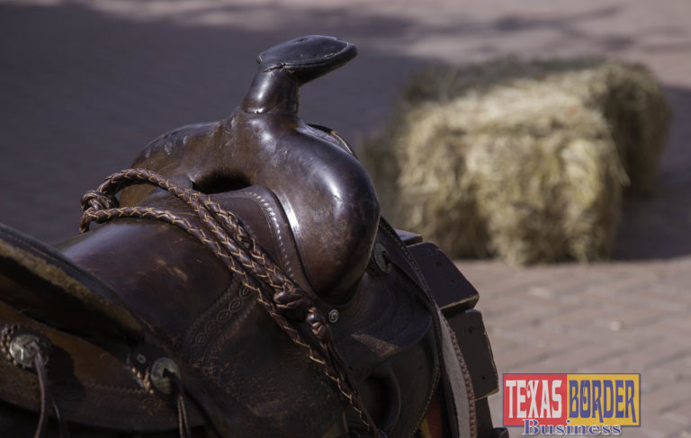 MOSTHistory Cattle Drive: Longhorns, Horses and Saddles Will Looney Legacy Park to host several “campsites”