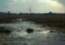 Image for illustration purposes only