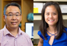 Hyun-chul Lee, Ph.D., lecturer III, Department of Physics and Astronomy, College of Sciences, Contingent Faculty Category; and Sue Anne Chew, Ph.D., assistant professor, Department of Health and Biomedical Sciences, College of Health Professions, Tenured/Tenure-Track Category