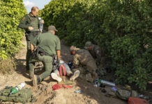 Image for illustration purposes only