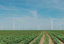 EDP Renewables’ Los Mirasoles Wind Farm Celebrates American Wind Week with Volunteer Event and Landowner Appreciation Lunch Image for illustration purposes only