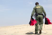 Image for illustration purposes only