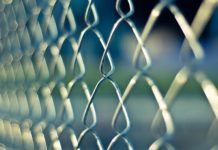 Image for illustration purposes only