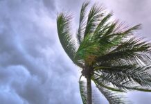 Governor Abbott Waives Towing Regulations In Response To Tropical Storm Imelda