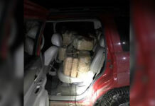 Over $3M Dollars Worth of Narcotics Seized