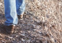 Image for illustration purposes only