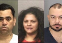 Criminal Aliens Identified by Border Patrol in the RGV