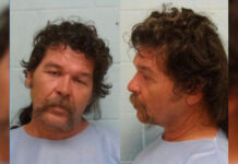 Bank robber released and strikes again, now heads back to prison