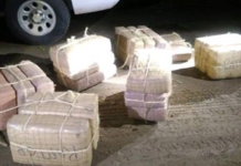 Significant Seizures Lead to More than $1.9M Worth of Drugs off the Streets