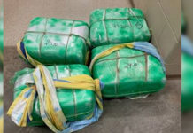 Border Patrol Agents Interdict more than $1.5M Worth of Narcotics