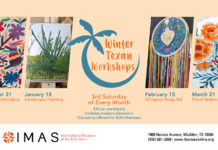 Artful Winter Texan Workshop Series at the IMAS