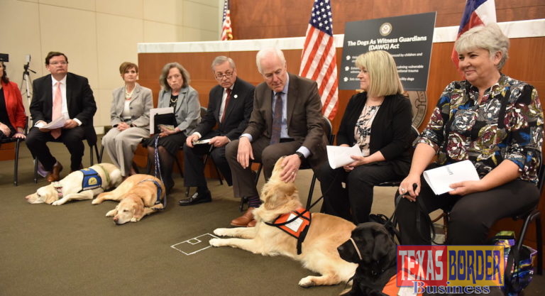 Cornyn’s Dogs in the Courthouse Bill Passes the Senate