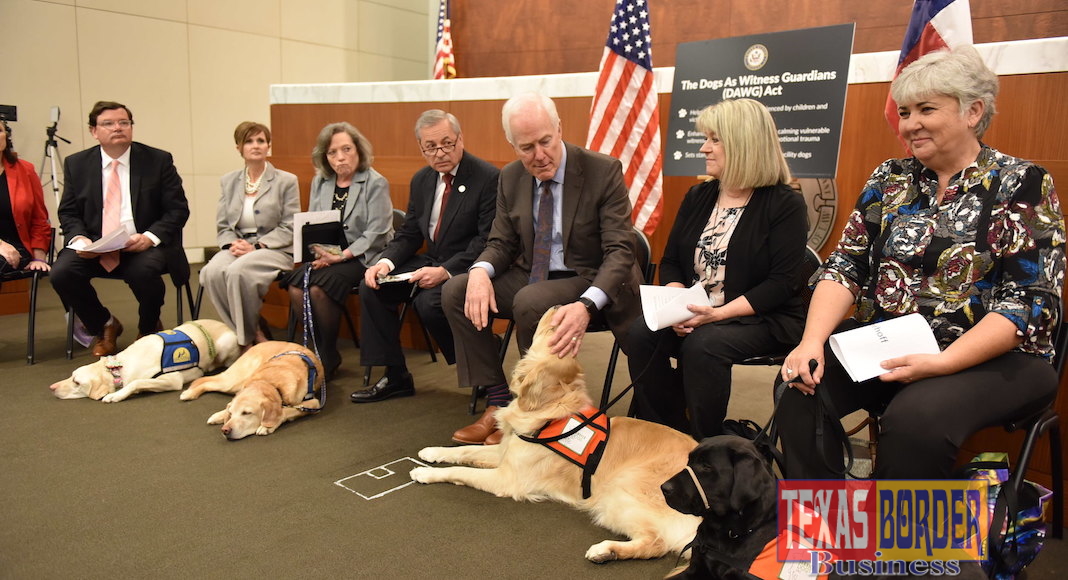 Cornyn’s Dogs in the Courthouse Bill Passes the Senate - Texas Border ...