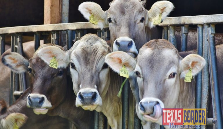 Cattle raisers statement on House passage of USMCA
