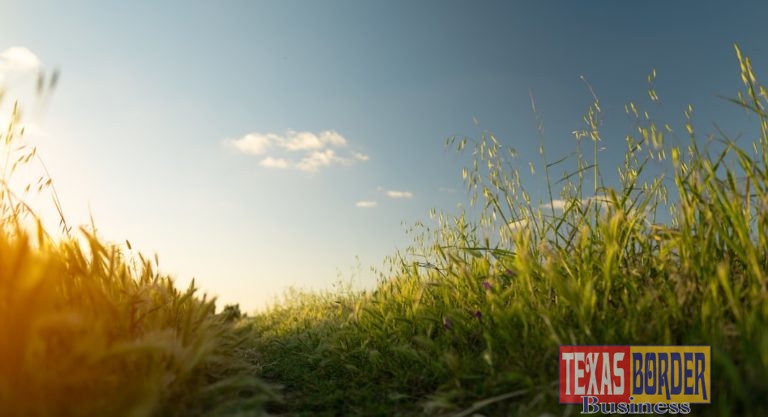 Congressman Encourages Central and South Texans to Apply for Additional $550 Million in Funding for USDA ReConnect Pilot Program