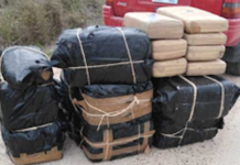 Border Patrol seizes more than $900K of drugs