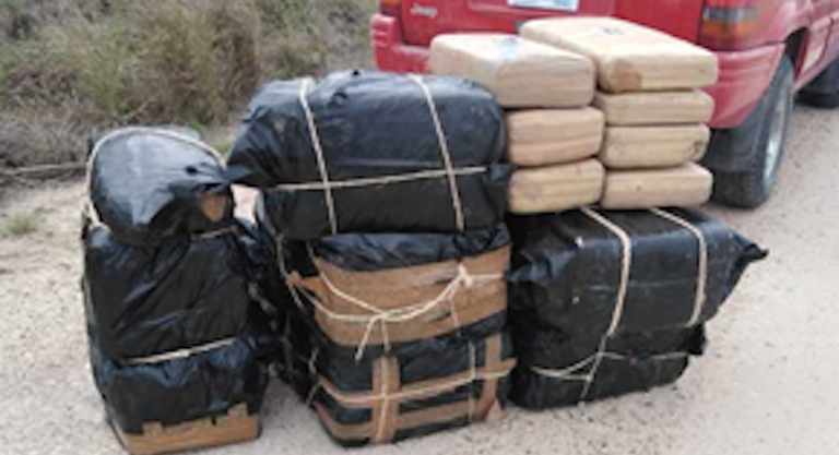 Border Patrol seizes more than $900K of drugs