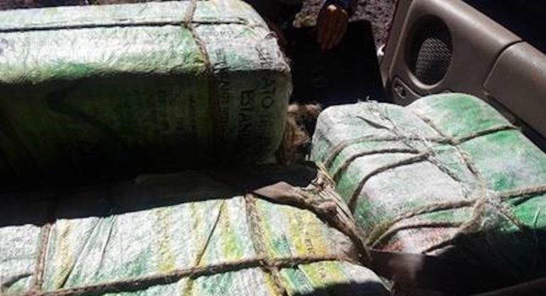 Border Patrol seizes over $350K worth of Narcotics