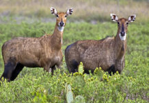 Rep. Vela Announces $7.5 Million for National Park and National Wildlife Refuges