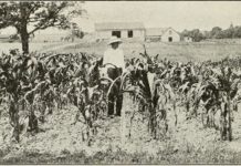 Markers Memorializing the Movement that Sparked Increase in Wages and Better Working Conditions to be Unveiled