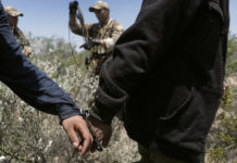 Border Patrol Agents Encounter Criminal Aliens in the RGV